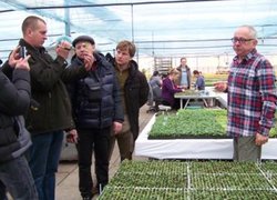 Рослини в касетах